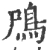 鳲(宋·印刷字体·广韵)