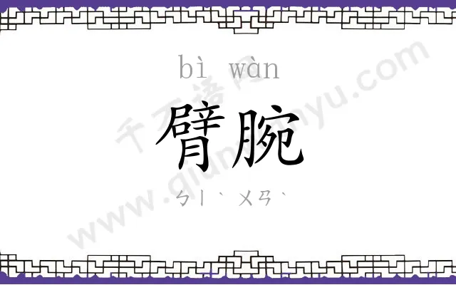 臂腕