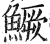 鱖(明·印刷字体·洪武正韵)