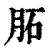 𦚈(清·印刷字体·康熙字典)