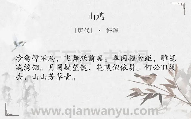 《山鸡》作者是唐代的许浑.诗词全文约共48字.