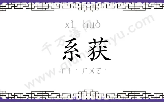 系获