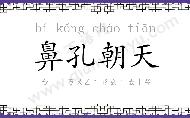 鼻孔朝天 鼻孔朝天