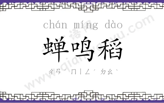 蝉鸣稻