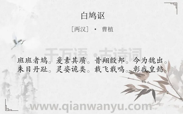 《白鸠讴》作者是两汉的曹植.诗词全文约共40字.