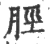 脛(宋·印刷字体·广韵)
