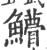 䲛(宋·印刷字体·广韵)