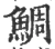 鯛(宋·印刷字体·广韵)