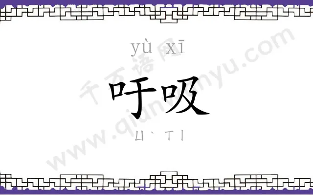 吁吸