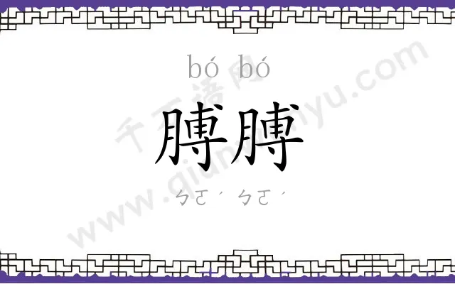 膊膊
