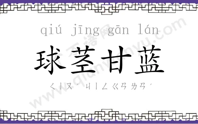 球茎甘蓝 球茎甘蓝