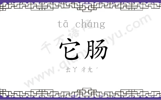 它肠