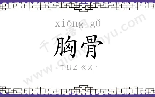 胸骨