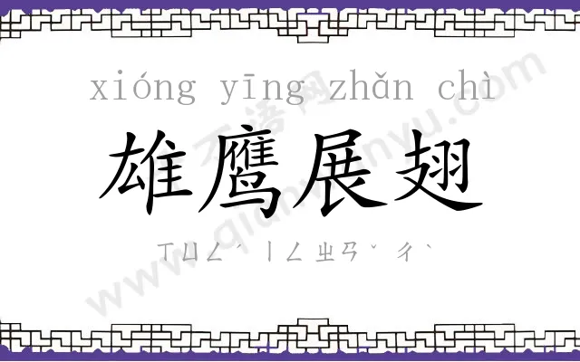 雄鹰展翅 雄鹰展翅