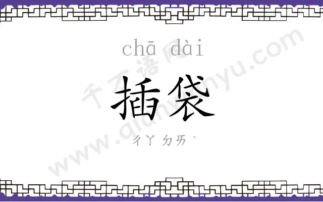 插袋