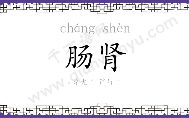 肠肾