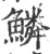 鳞(宋·印刷字体·广韵)