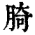 䐀(清·印刷字体·康熙字典)