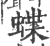 蝶(宋·印刷字体·广韵)
