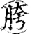胯(宋·印刷字体·增韵)
