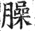 臊(明·印刷字体·洪武正韵)