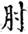 肘(宋·印刷字体·增韵)