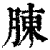胨(清·印刷字体·康熙字典)