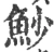 魦(宋·印刷字体·广韵)