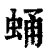 蛹(清·印刷字体·康熙字典)