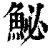 鮅(清·印刷字体·康熙字典)