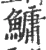鱅(宋·印刷字体·广韵)