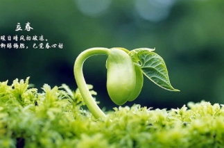 1579875249427930.png image.png