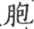 胞(宋·印刷字体·广韵)