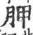 胛(宋·印刷字体·广韵)