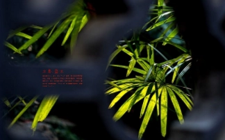 1579875243351889.png image.png