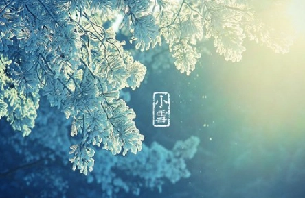 1574403162209966.png image.png
