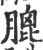 膍(宋·印刷字体·广韵)
